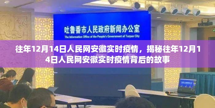 揭秘，历年12月14日人民网安徽实时疫情动态与背后故事