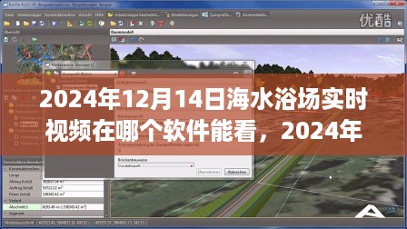 2024年海水浴场盛况实时观赏指南，最佳观览软件与视频观赏渠道