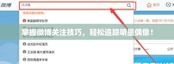 掌握微博关注技巧，轻松追踪明星偶像！