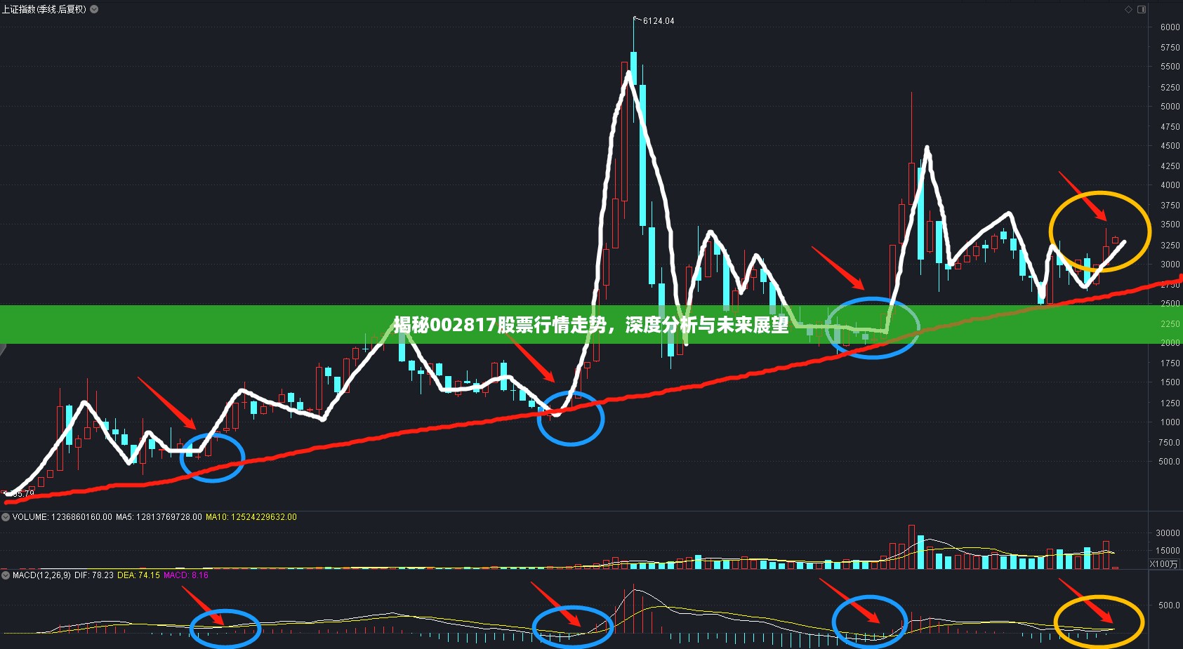揭秘002817股票行情走势，深度分析与未来展望