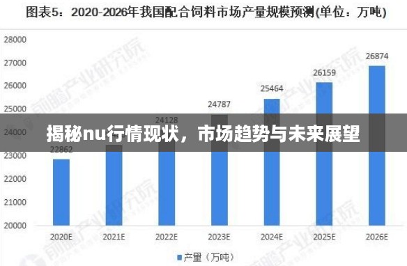 揭秘nu行情现状，市场趋势与未来展望