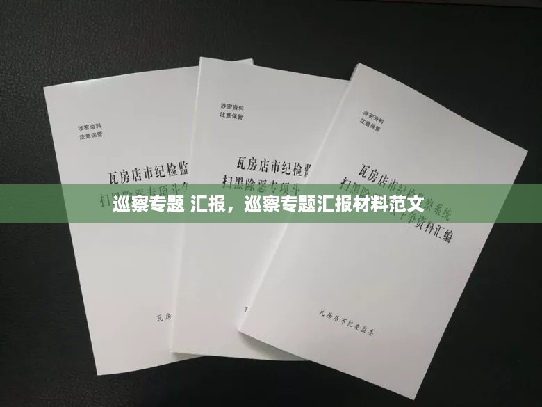 巡察专题 汇报，巡察专题汇报材料范文 