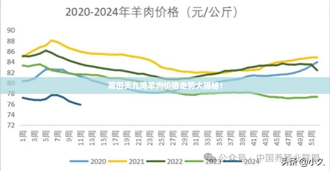 莆田天九湾羊肉价格走势大揭秘！