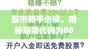 股市新手必读，揭秘股票代码为000509的股票入门指南！