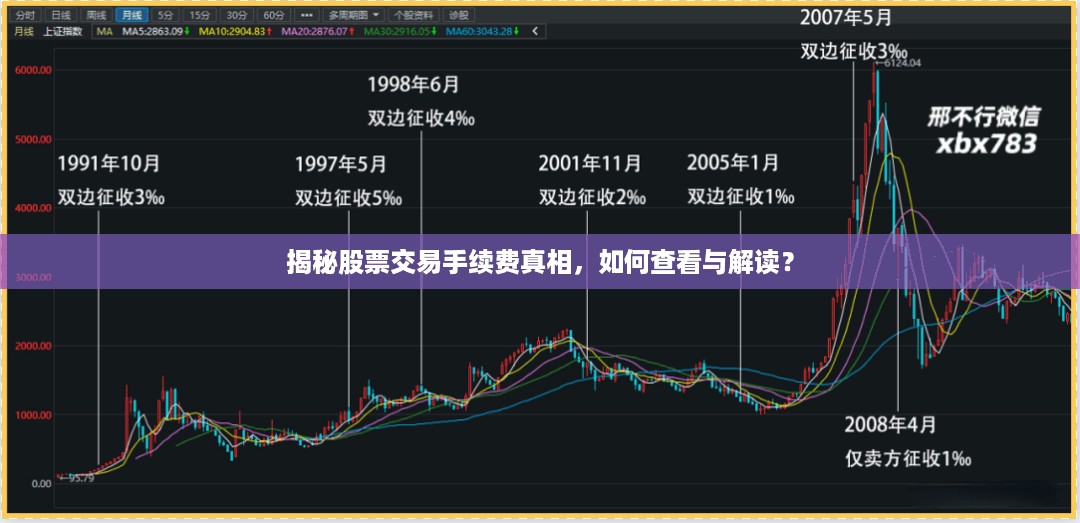 揭秘股票交易手续费真相，如何查看与解读？