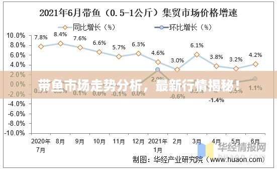 带鱼市场走势分析，最新行情揭秘！