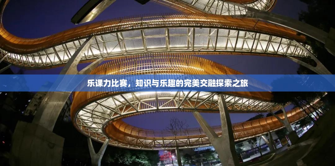 乐课力比赛，知识与乐趣的完美交融探索之旅