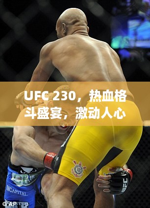 UFC 230，热血格斗盛宴，激动人心的对战之夜