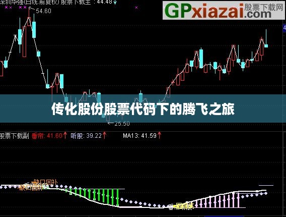 传化股份股票代码下的腾飞之旅