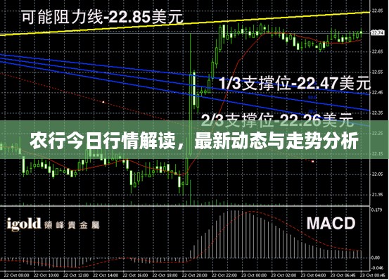 农行今日行情解读，最新动态与走势分析