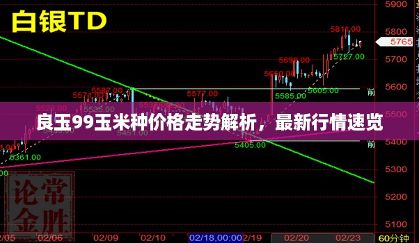 良玉99玉米种价格走势解析，最新行情速览