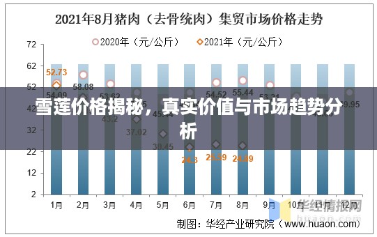 雪莲价格揭秘，真实价值与市场趋势分析