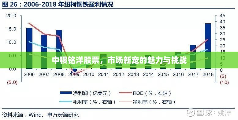 中稷铭洋股票，市场新宠的魅力与挑战