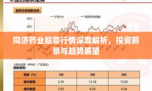 同济药业股票行情深度解析，投资前景与趋势展望