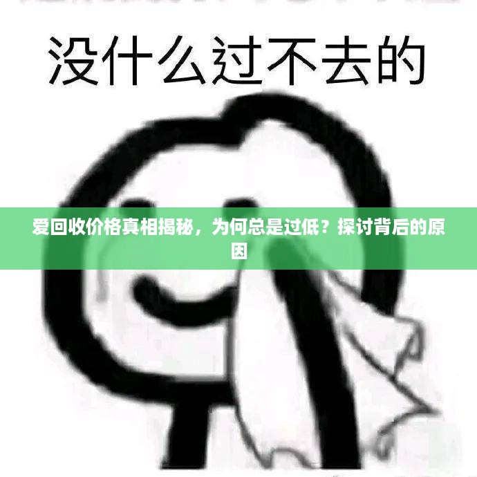 爱回收价格真相揭秘，为何总是过低？探讨背后的原因