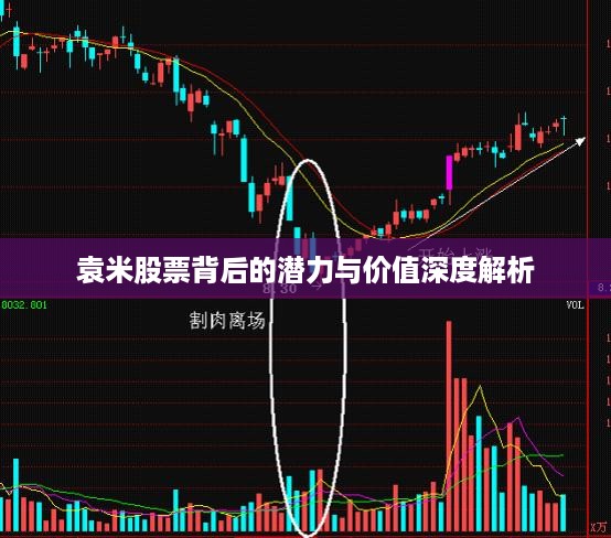 袁米股票背后的潜力与价值深度解析