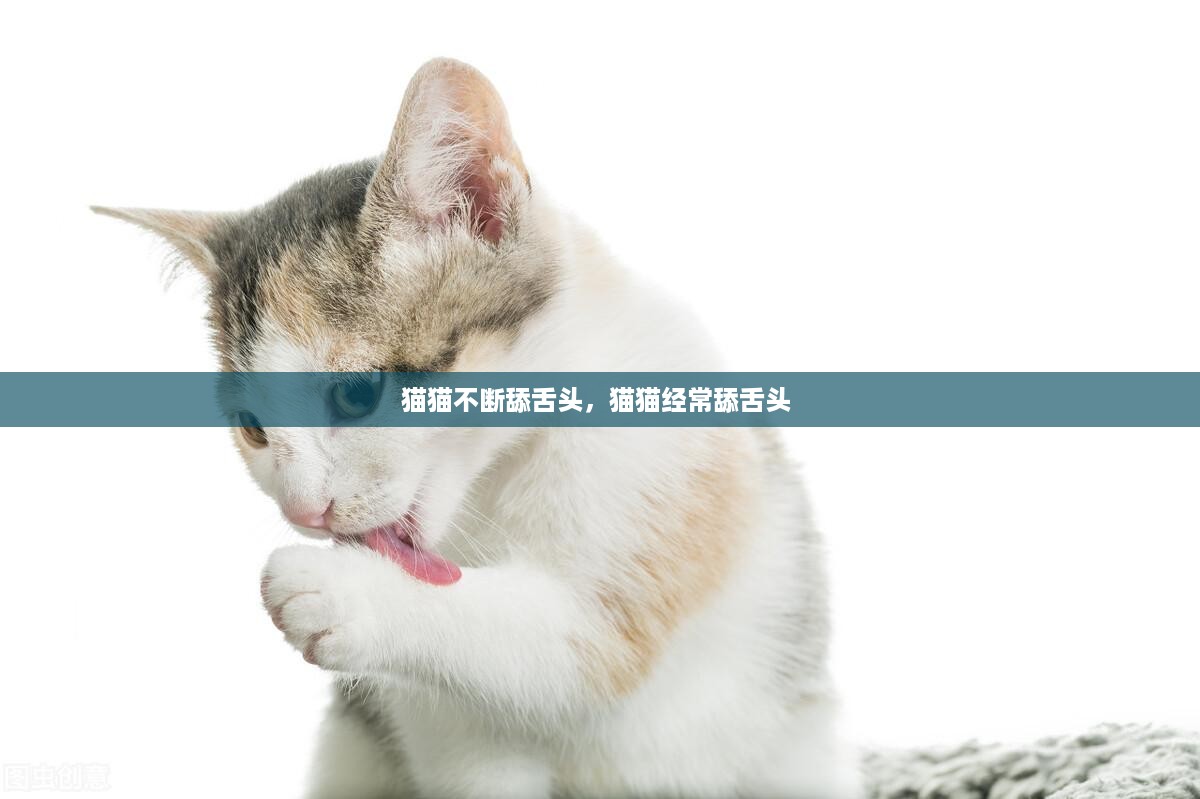 猫猫不断舔舌头，猫猫经常舔舌头 