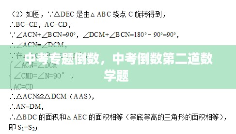 中考专题倒数，中考倒数第二道数学题 