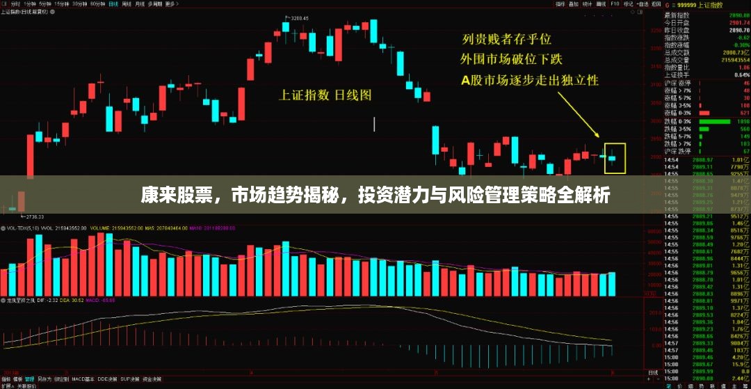 康来股票，市场趋势揭秘，投资潜力与风险管理策略全解析