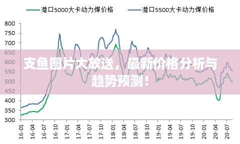 支鱼图片大放送，最新价格分析与趋势预测！