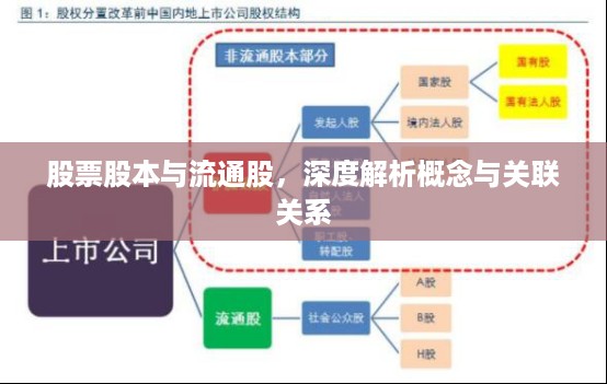 股票股本与流通股，深度解析概念与关联关系