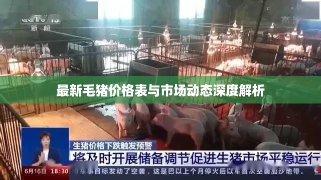 最新毛猪价格表与市场动态深度解析