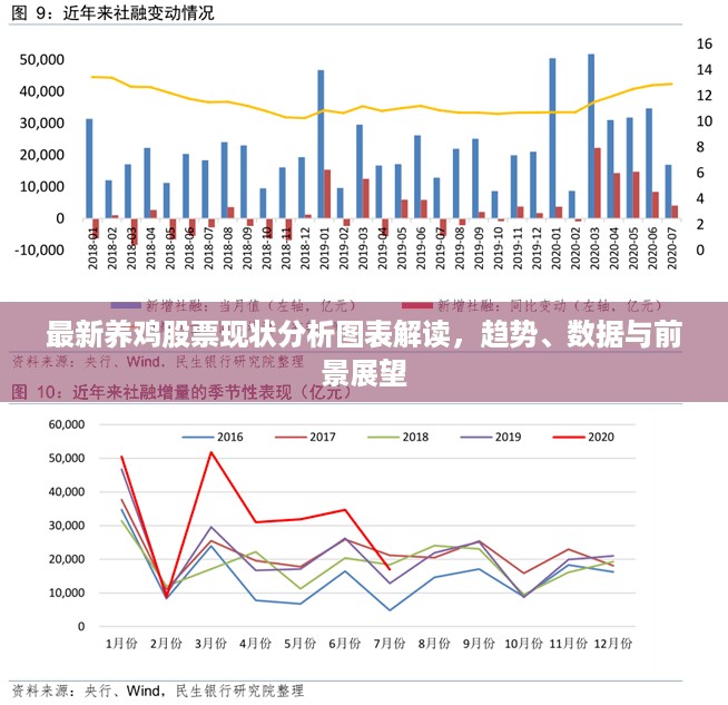 最新养鸡股票现状分析图表解读，趋势、数据与前景展望