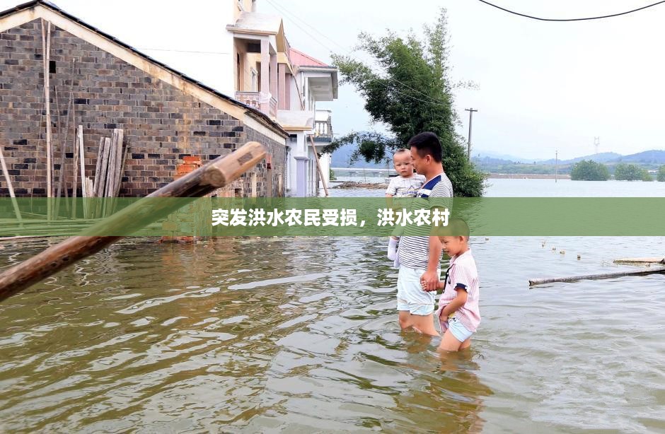 突发洪水农民受损，洪水农村 