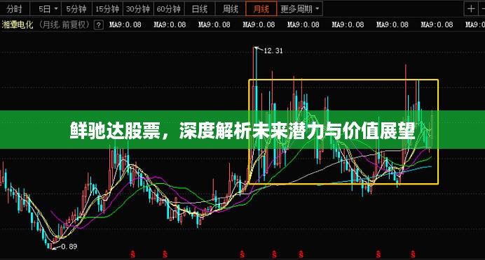 鲜驰达股票，深度解析未来潜力与价值展望