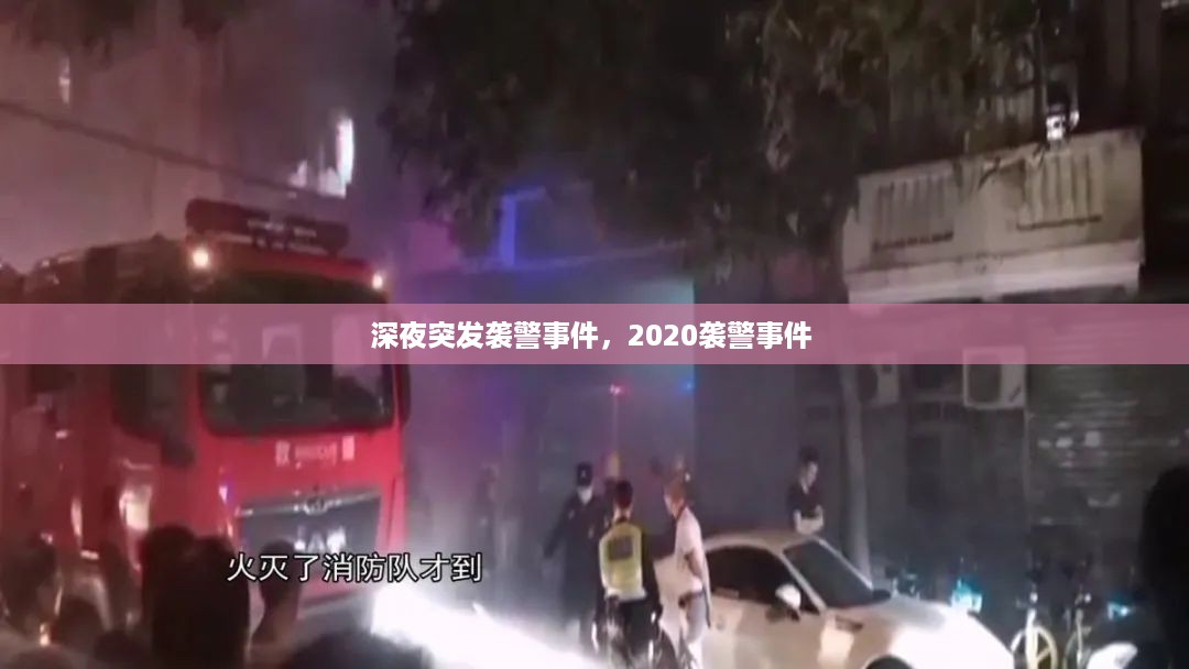 深夜突发袭警事件，2020袭警事件 