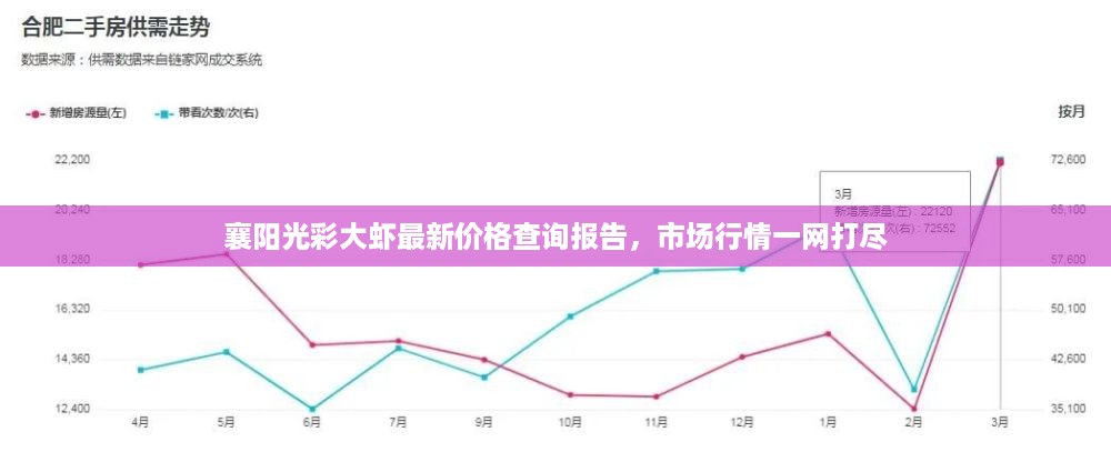 襄阳光彩大虾最新价格查询报告，市场行情一网打尽