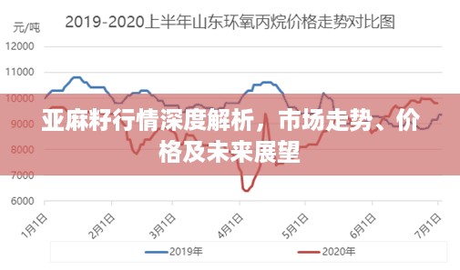 亚麻籽行情深度解析，市场走势、价格及未来展望