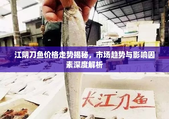 江阴刀鱼价格走势揭秘，市场趋势与影响因素深度解析