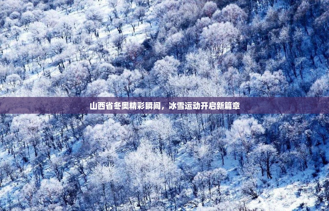 山西省冬奥精彩瞬间，冰雪运动开启新篇章