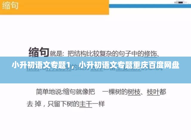 小升初语文专题1，小升初语文专题重庆百度网盘 