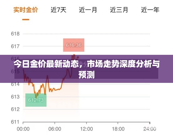 今日金价最新动态，市场走势深度分析与预测