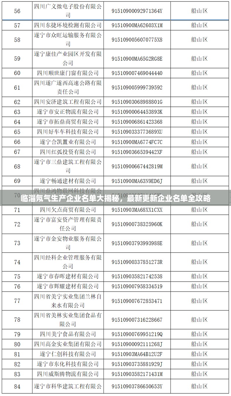 临淄氖气生产企业名单大揭秘，最新更新企业名单全攻略