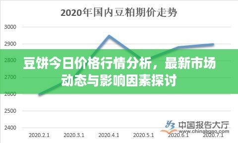 豆饼今日价格行情分析，最新市场动态与影响因素探讨