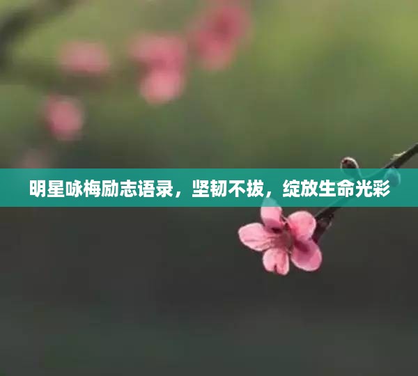 明星咏梅励志语录，坚韧不拔，绽放生命光彩