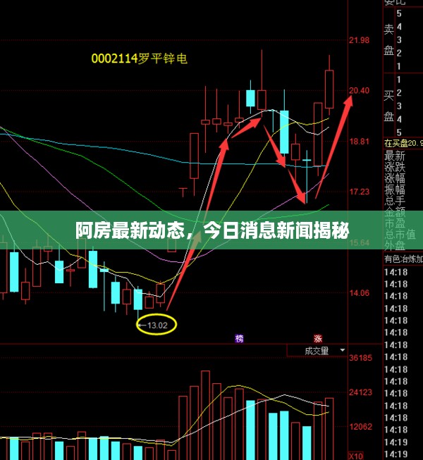 阿房最新动态，今日消息新闻揭秘