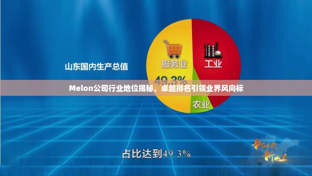 Melon公司行业地位揭秘，卓越排名引领业界风向标