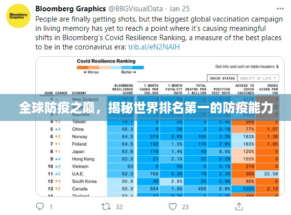 全球防疫之巅，揭秘世界排名第一的防疫能力