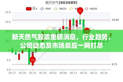 新天然气股票重磅消息，行业趋势、公司动态及市场反应一网打尽