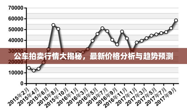 公车拍卖行情大揭秘，最新价格分析与趋势预测