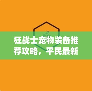 狂战士宠物装备推荐攻略，平民最新指南，助你轻松选择优质装备！