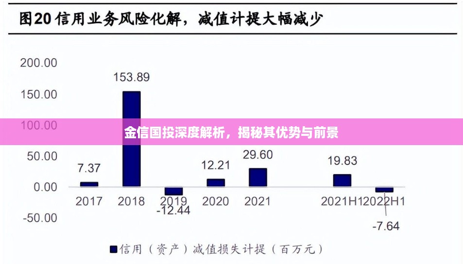 金信国投深度解析，揭秘其优势与前景