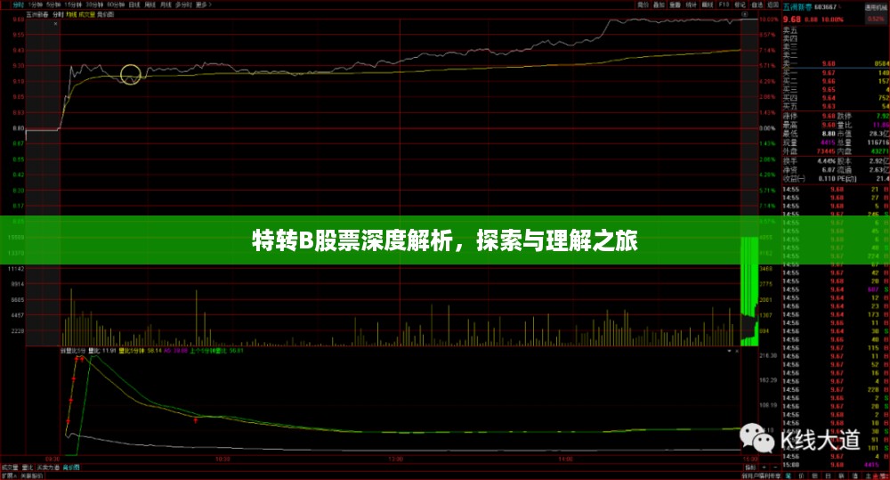 特转B股票深度解析，探索与理解之旅