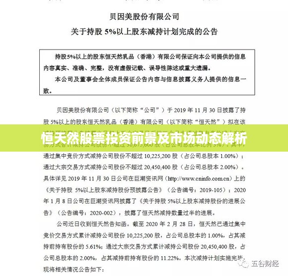 恒天然股票投资前景及市场动态解析