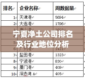 宁夏净土公司排名及行业地位分析