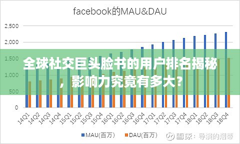 全球社交巨头脸书的用户排名揭秘，影响力究竟有多大？